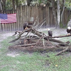 Meet your Posher, Gary